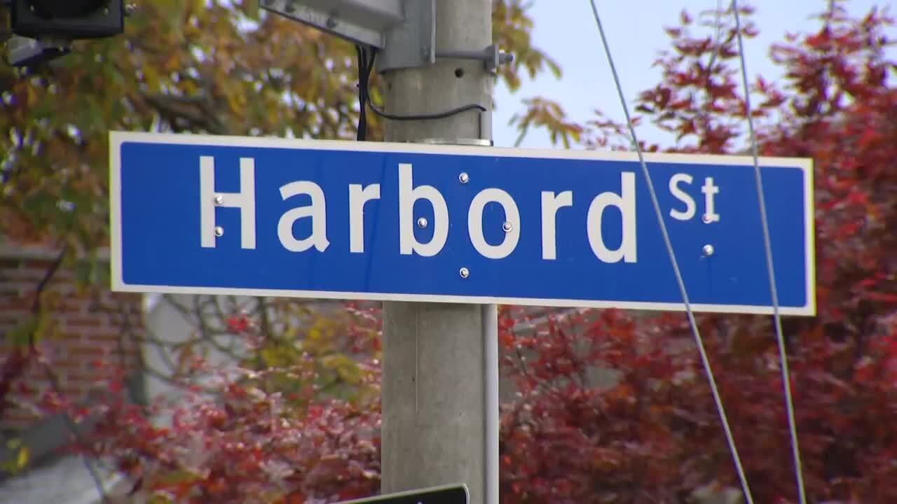 Harbord Village residents share what they love about their