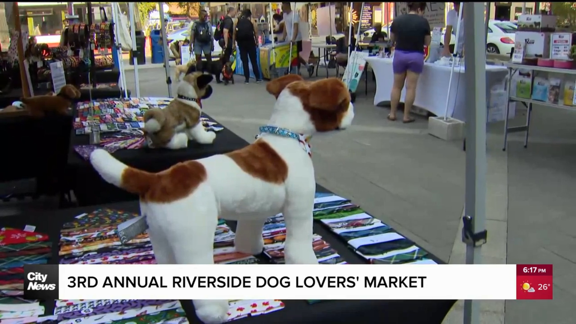 Third annual Riverside Dog Lovers' Market