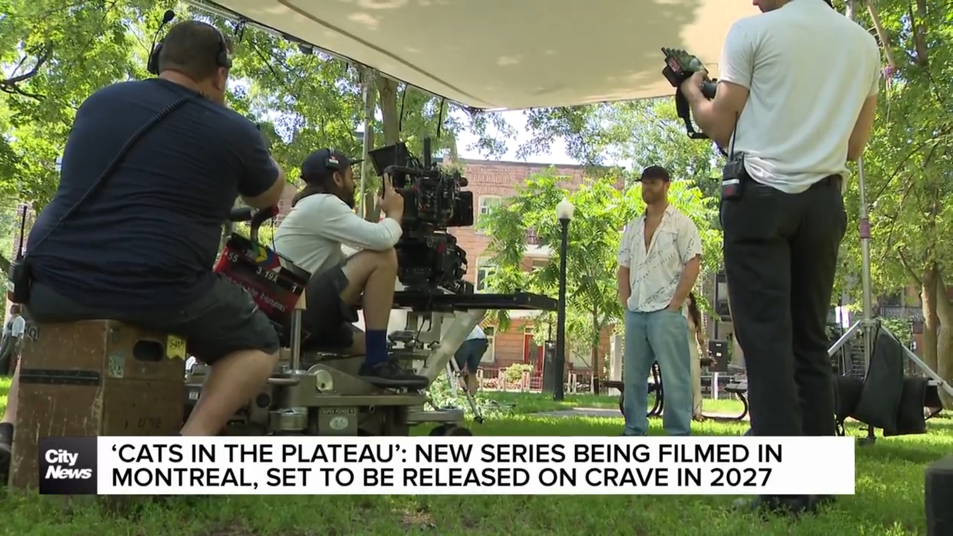 ‘Cats in the Plateau’: New series being filmed in Montreal