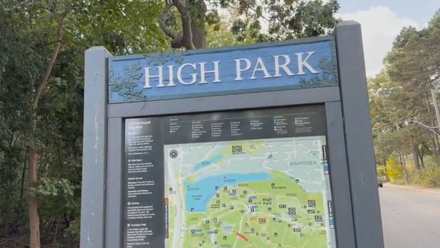 10 candidates vying to represent Parkdale-High Park at City Hall