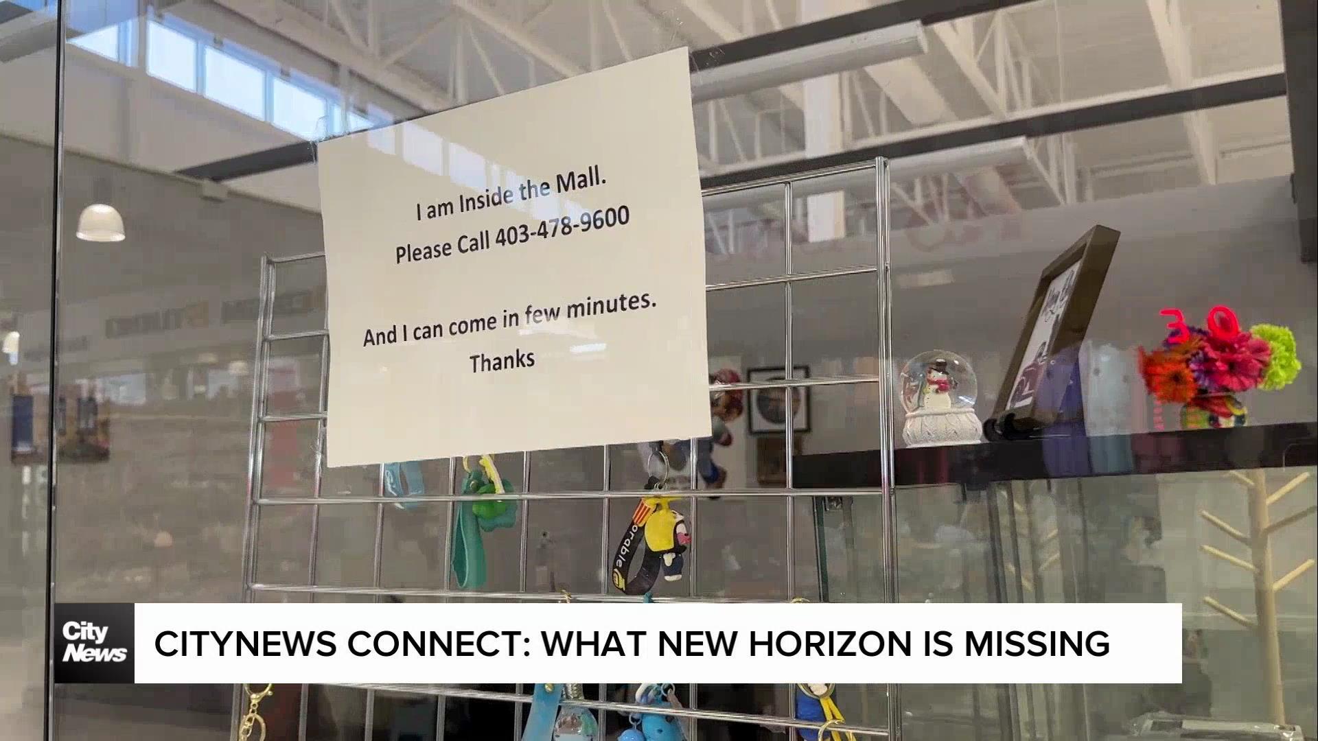 CityNews Connect: What New Horizon Mall is missing