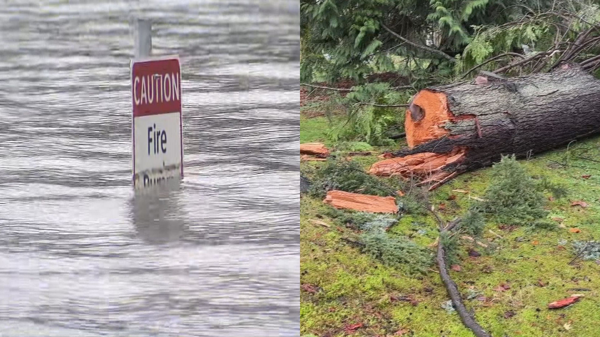 Power outages across BC caused by ‘bomb cyclone’ hit