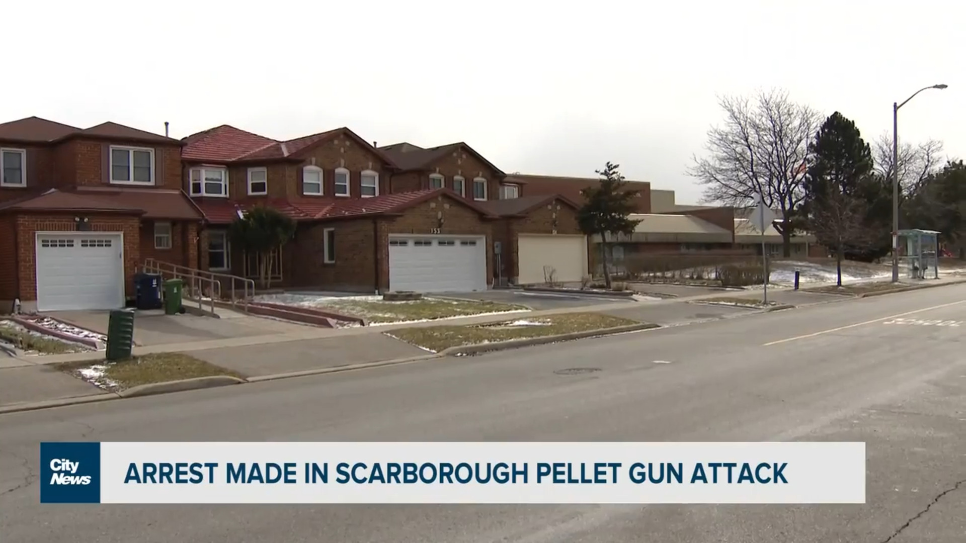 Arrest made in Scarborough pellet gun attack