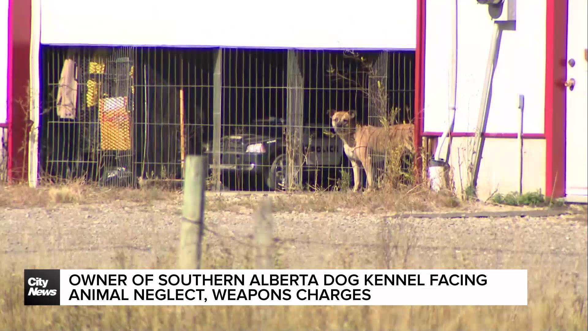 Owner of southern Alberta dog kennel facing animal neglect, weapons charges