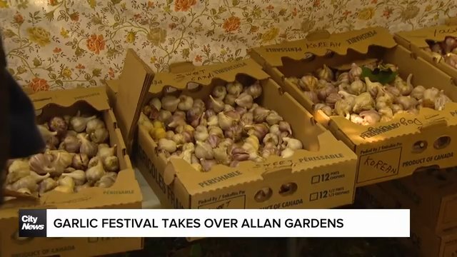 Garlic festival returns to Toronto with new home