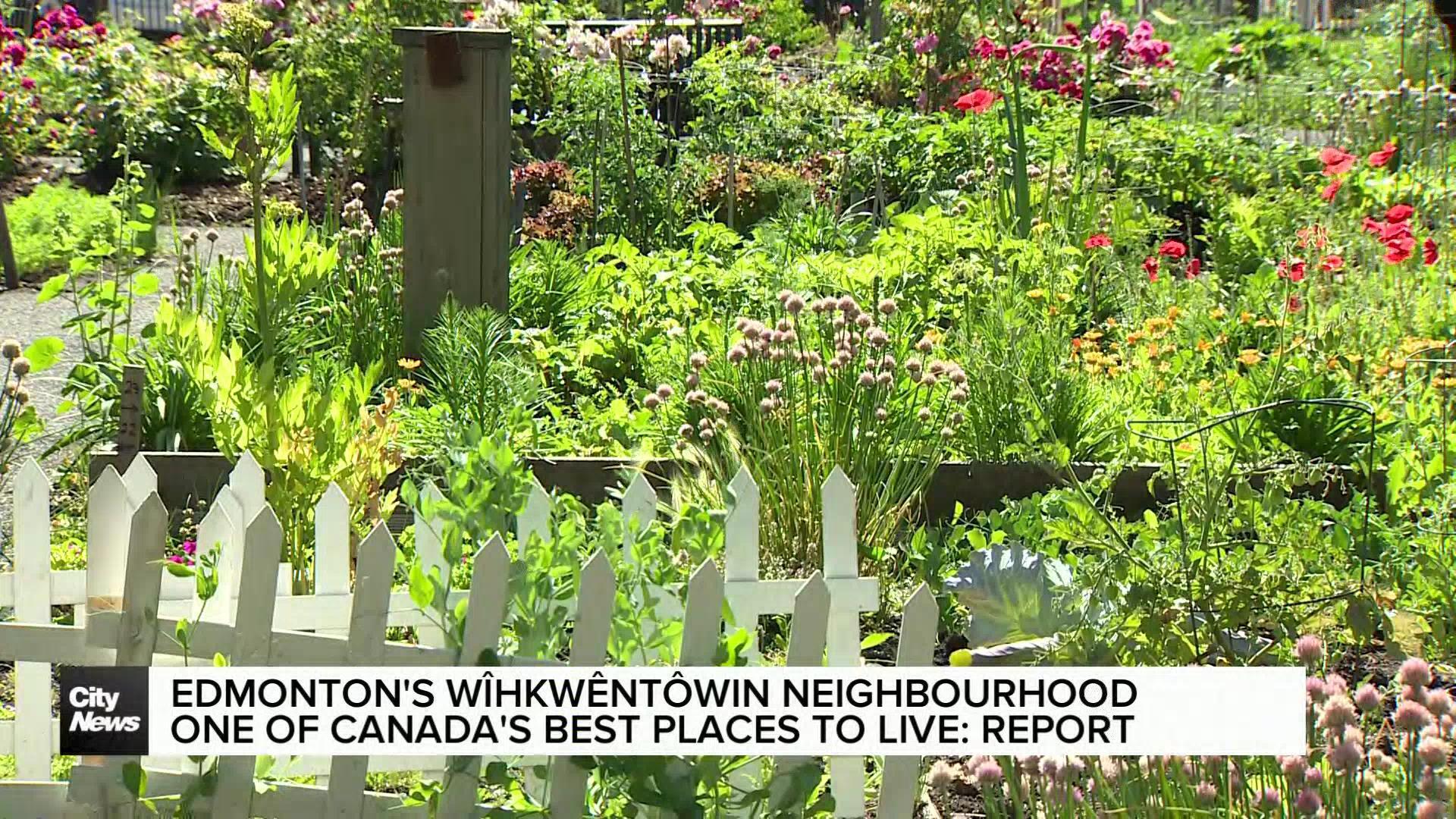 Edmonton's Wîhkwêntôwin neighbourhood one of Canada’s best areas to live: report