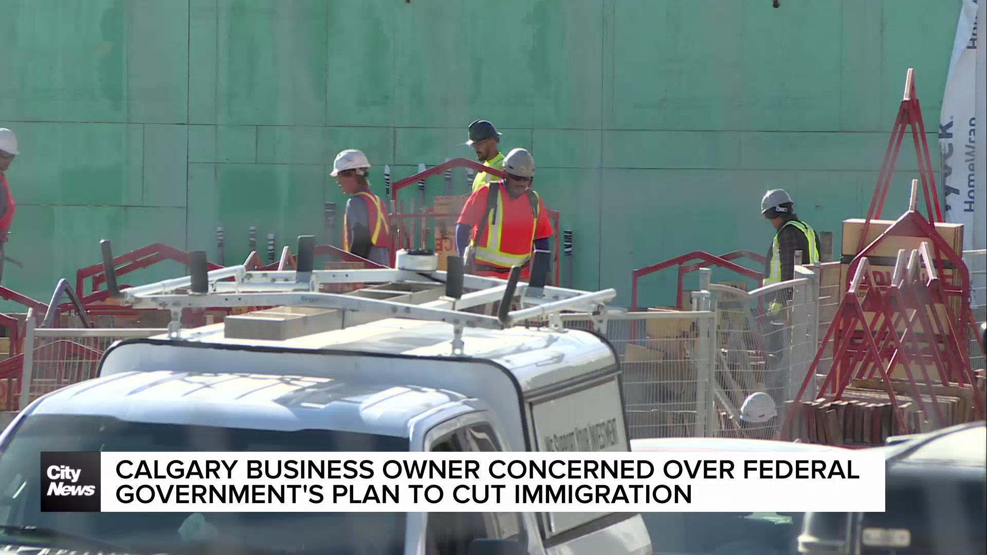 Calgary business owner concerned over federal government's plan to cut immigration