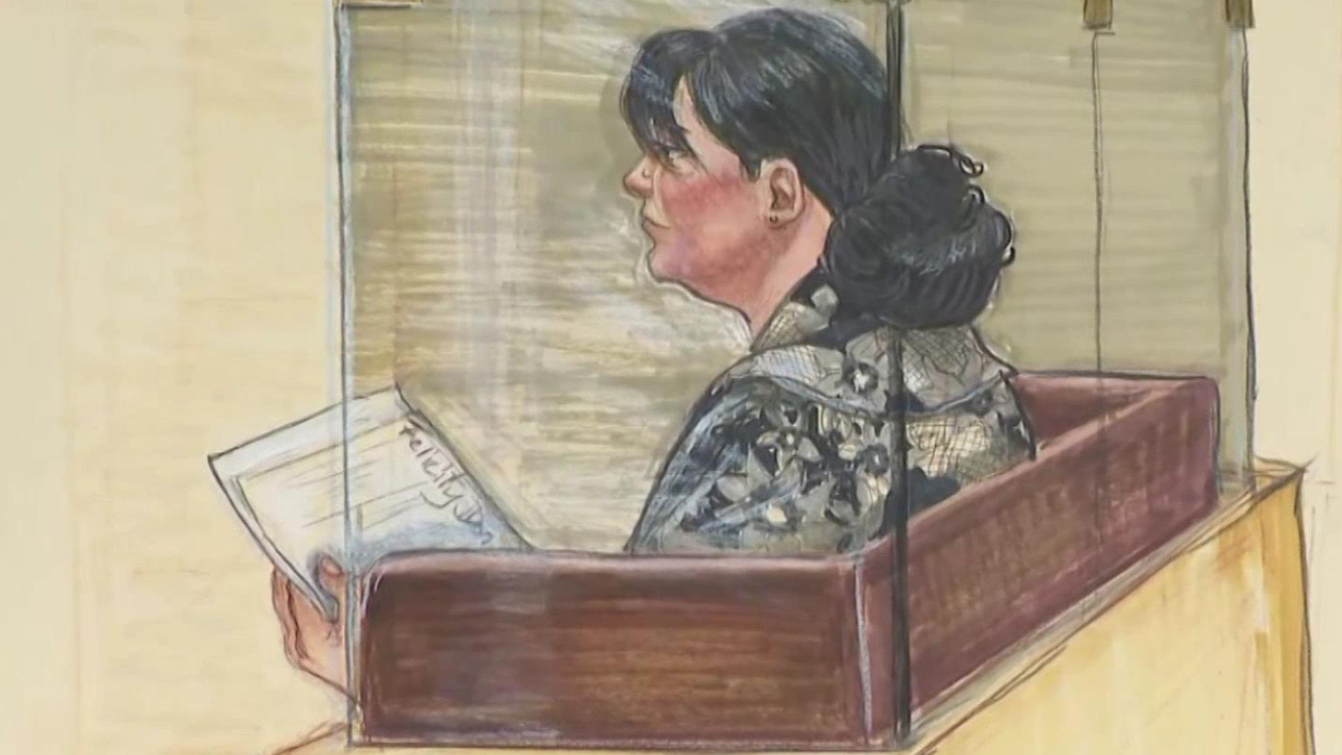 Day 2 of sentencing hearing in ‘fake nurse’ case