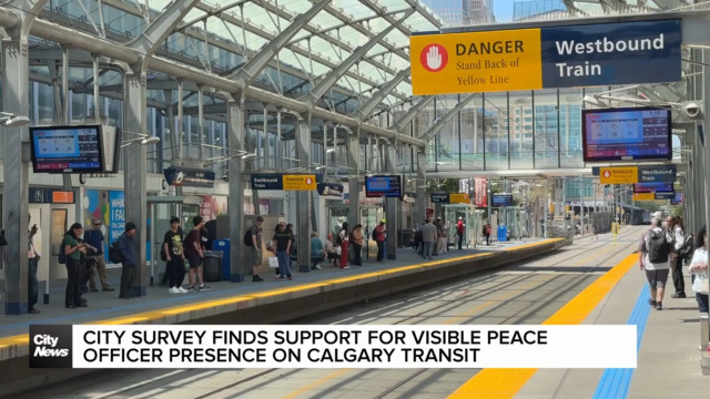 Survey shows support for visible peace officer presence on Calgary Transit