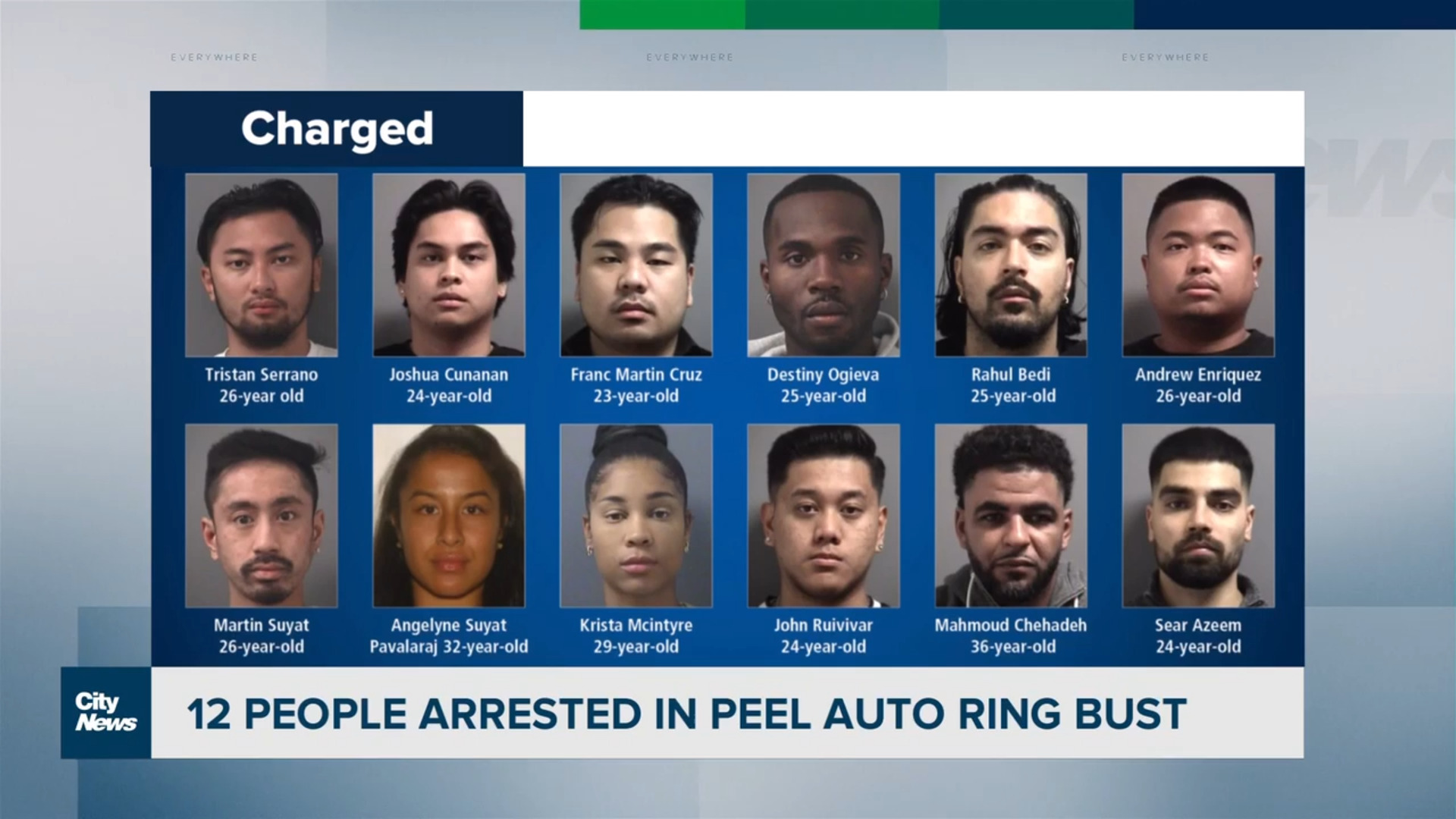 12 arrests made in Peel auto ring bust
