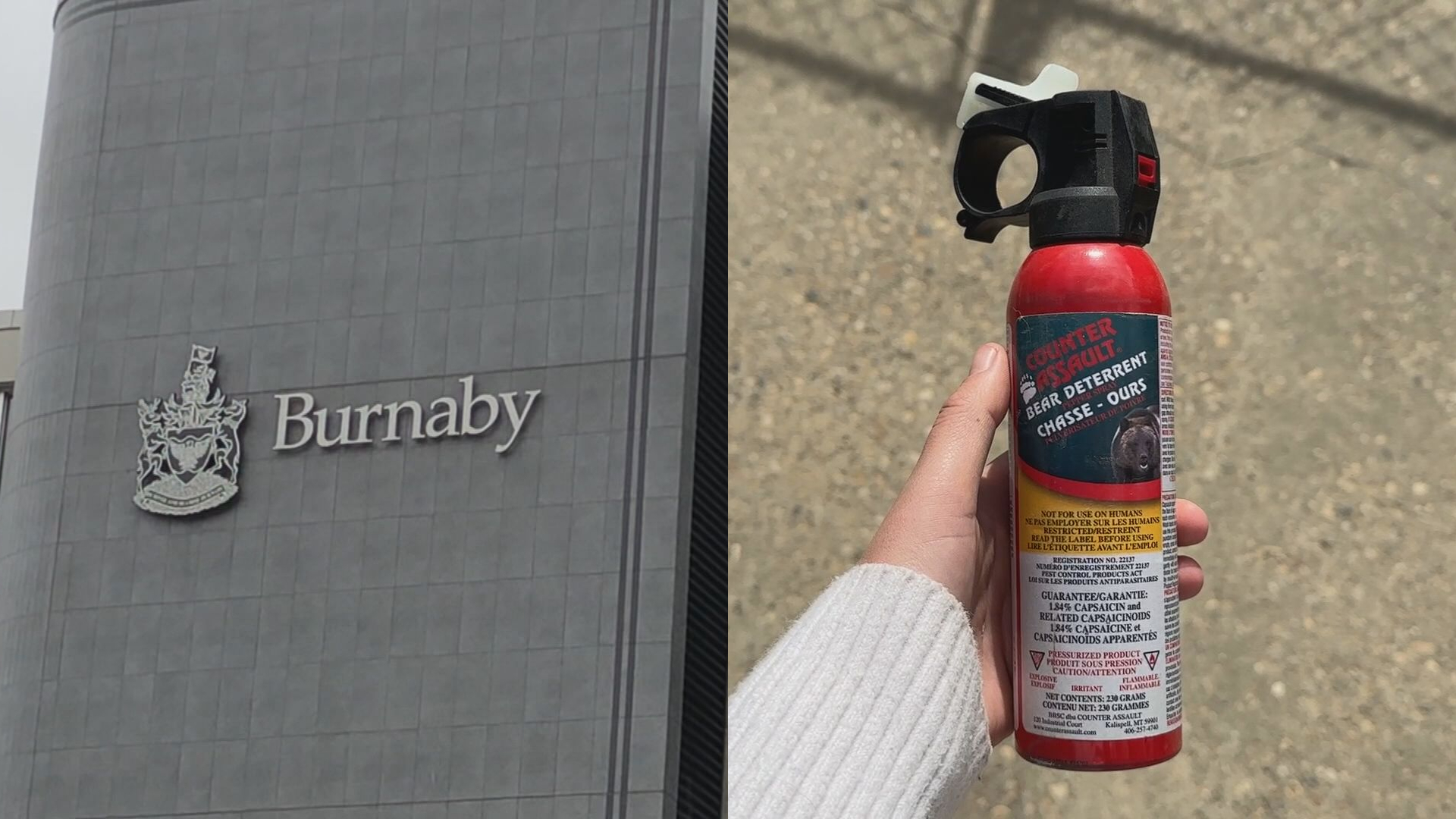 Burnaby looks at tightening rules around bear spray