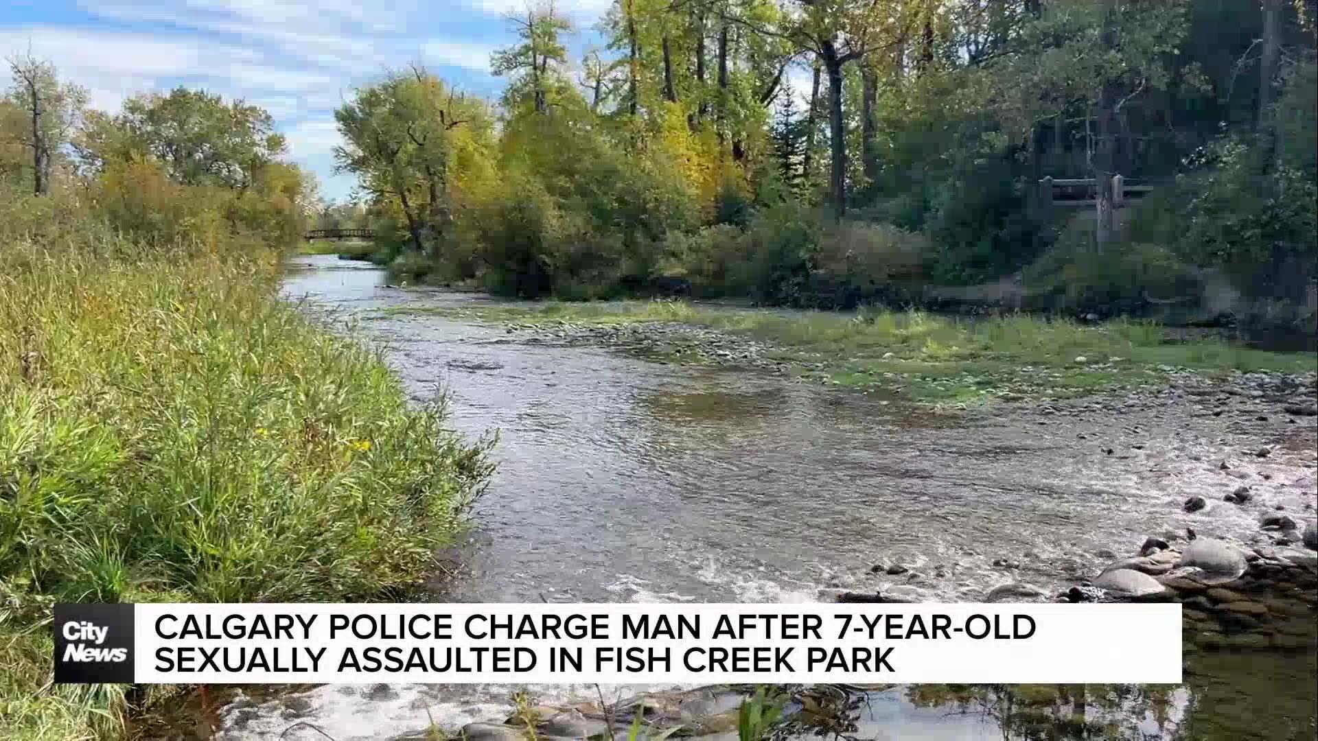 Calgary man charged after 7-year-old girl sexually assaulted in Fish Creek Park