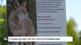 Second coyote bite incident in Markham in less than a week leave residents fearful