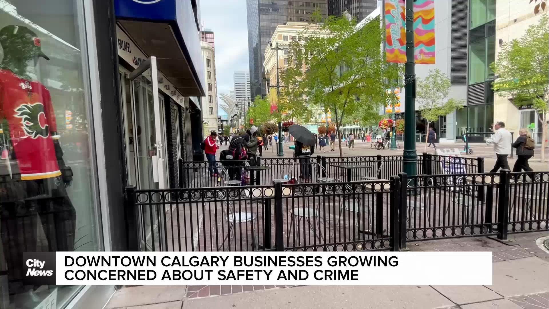 Downtown Calgary businesses getting concerned about safety and crime