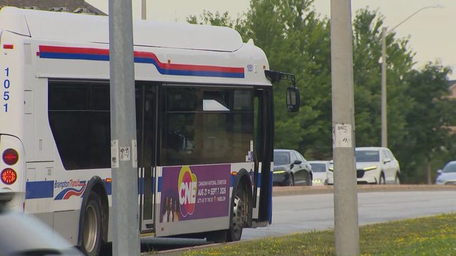 70-year-old struck by Brampton transit bus