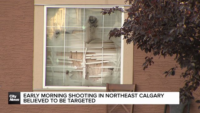 Early morning shooting in northeast Calgary believed to be targeted