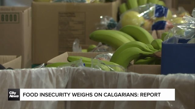 Food insecurity weighs on Calgarians: report