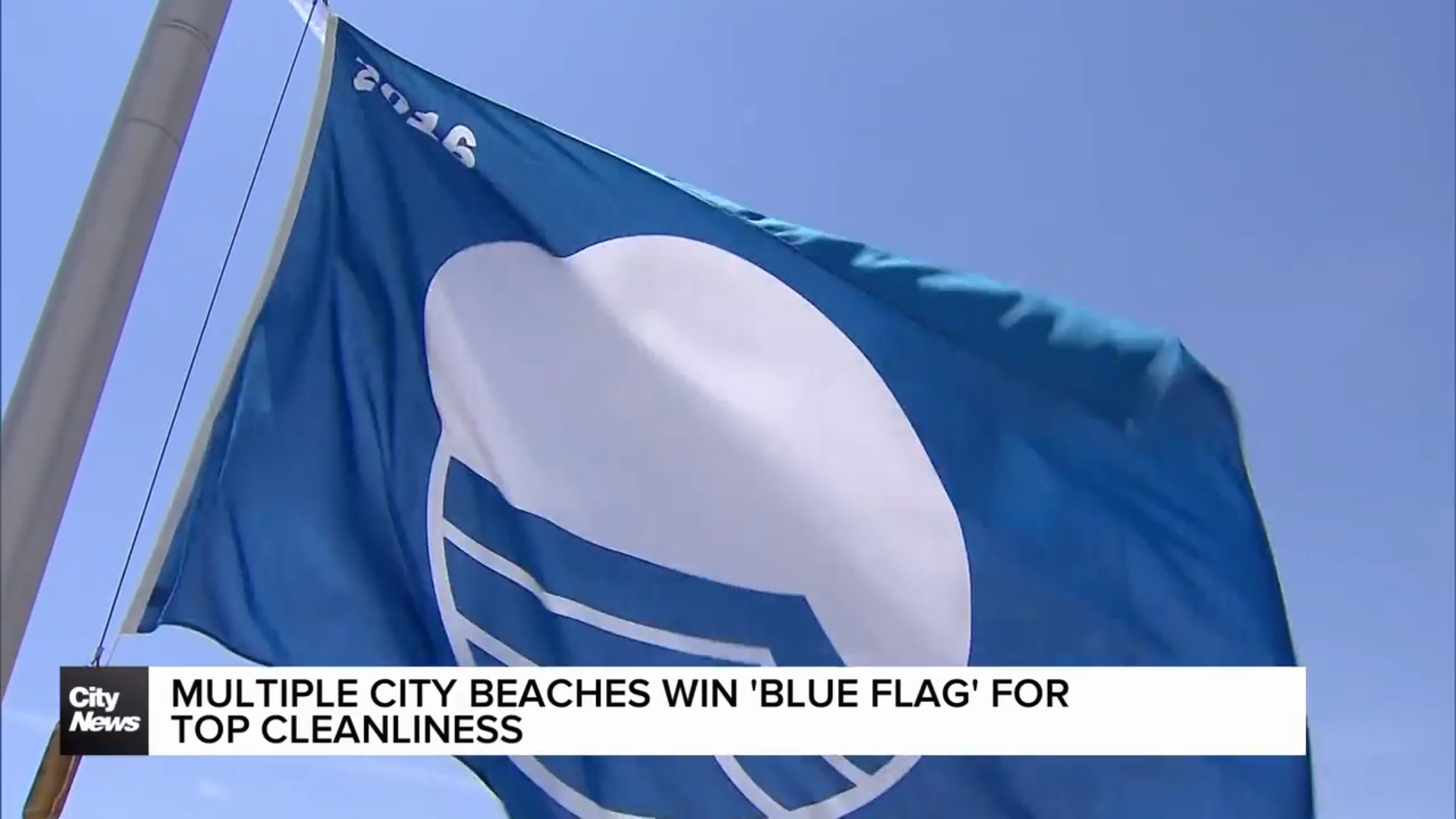 Several Toronto beaches awarded prestigious 'Blue Flag' award