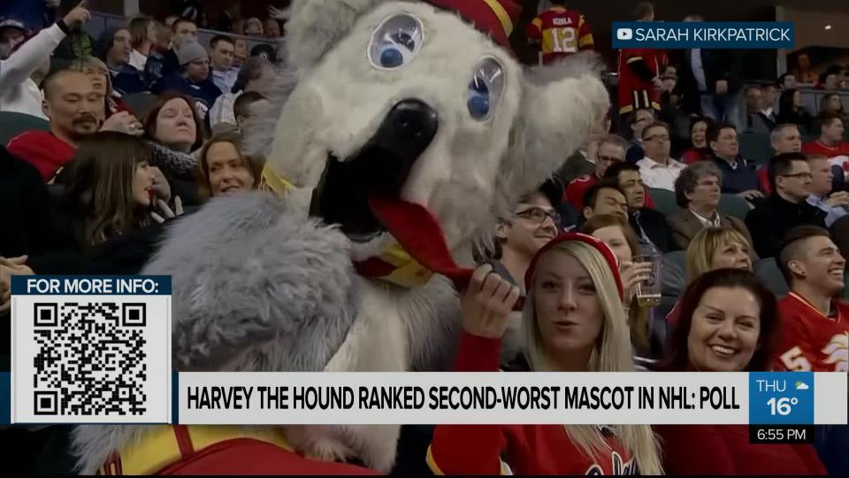 Calgary Flames' Harvey the Hound ranked second worst NHL mascot