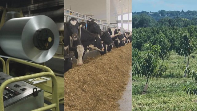 Canada matches U.S. tariffs: These are the industries likely to be impacted