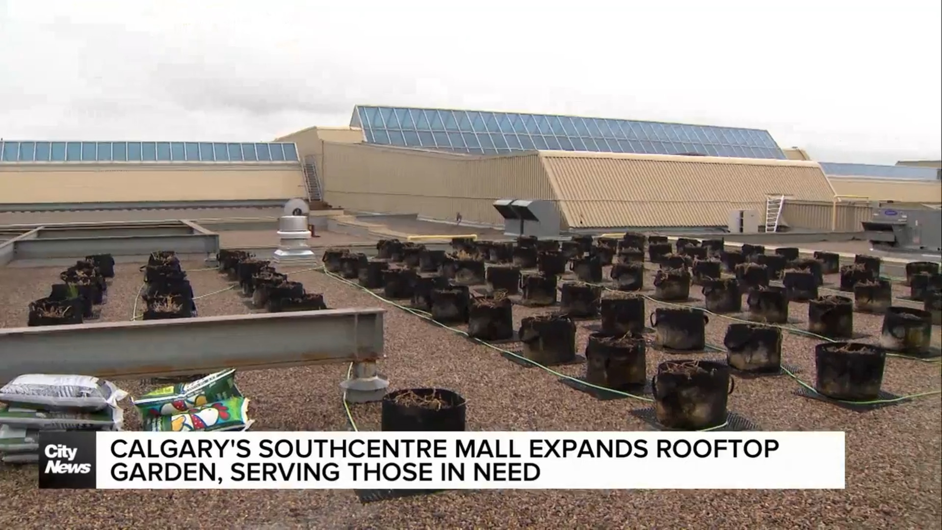 Calgary's Southcentre Mall expands rooftop garden