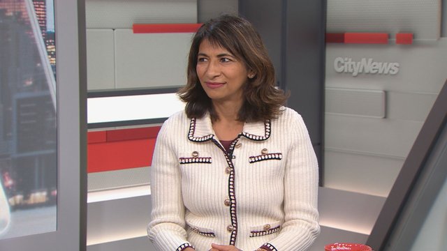 Mississauga mayoral candidate Dipika Damerla talks policing, crime