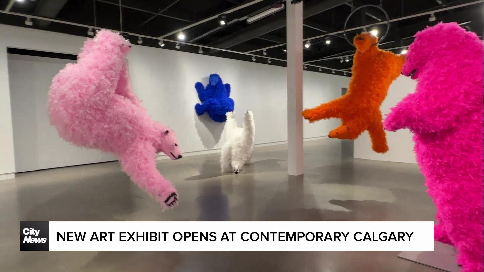 New art exhibit opens at Contemporary Calgary