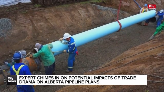 Expert chimes in on potential impacts of trade drama on Alberta pipeline plans