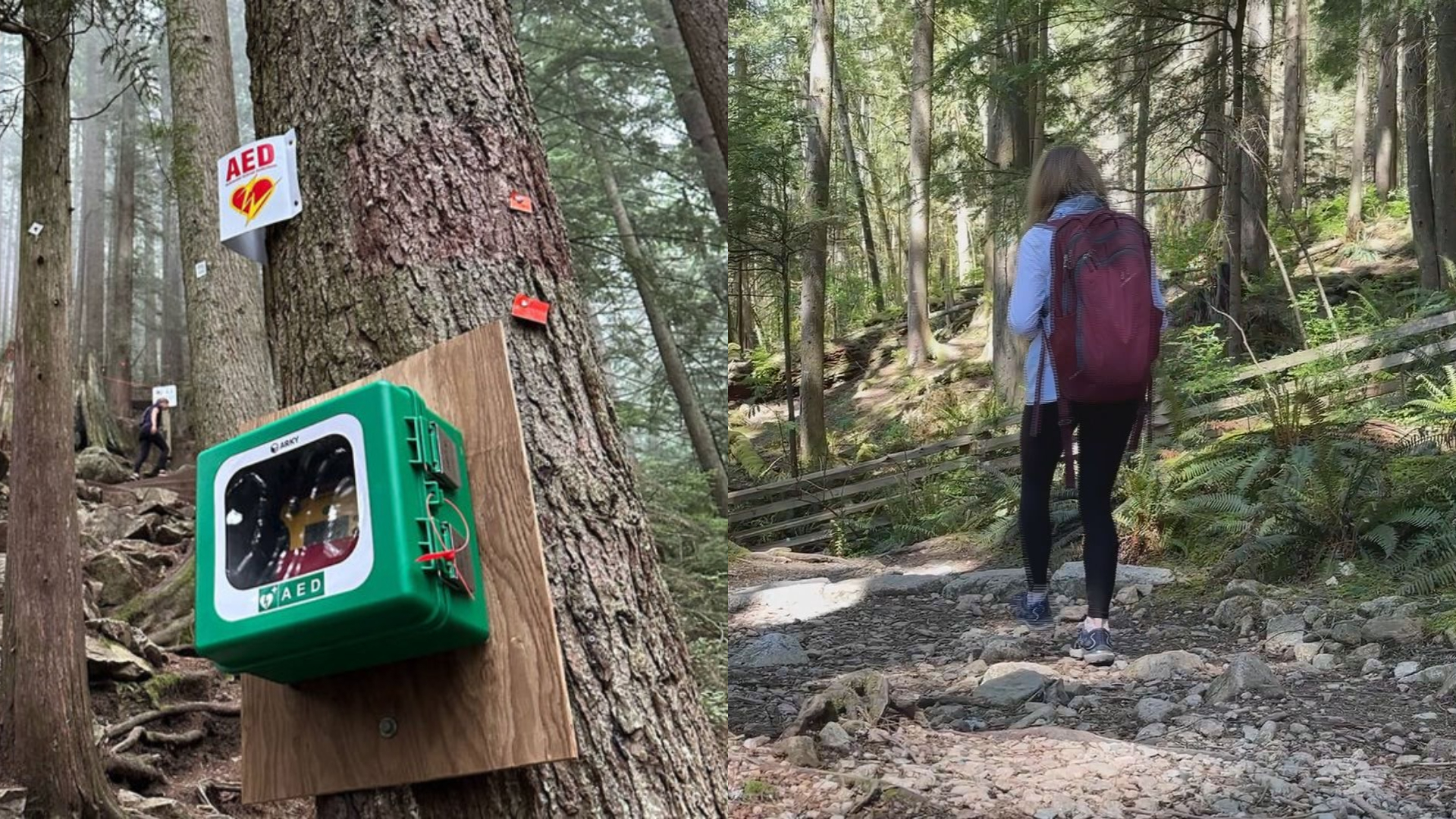 Defibrillators installed along Metro Vancouver's Grouse Grind