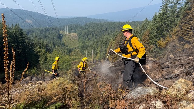 Evacuation alert cancelled after crews contain Belcarra Park wildfire