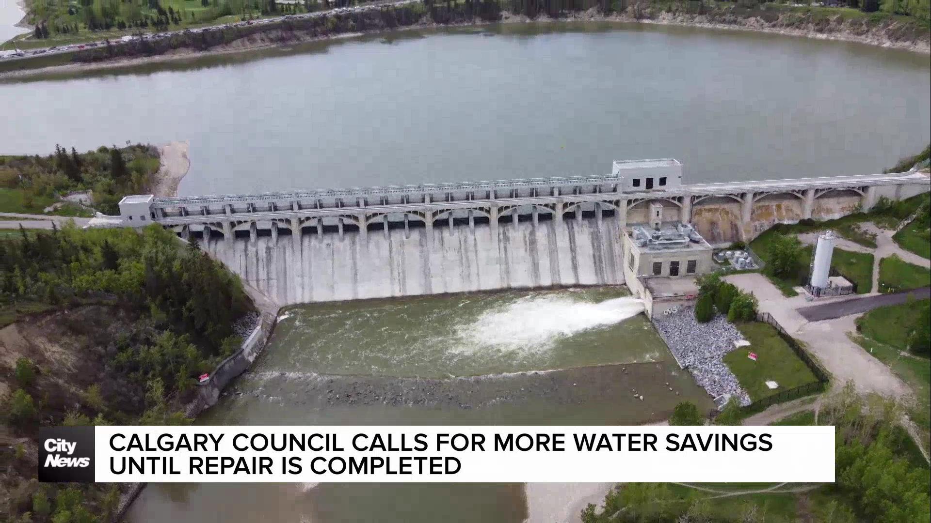 Calgary council calls for more water savings