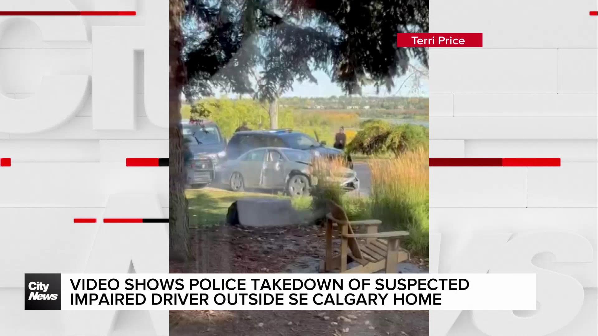 Video shows police takedown of suspected impaired driver on front lawn in SE Calgary