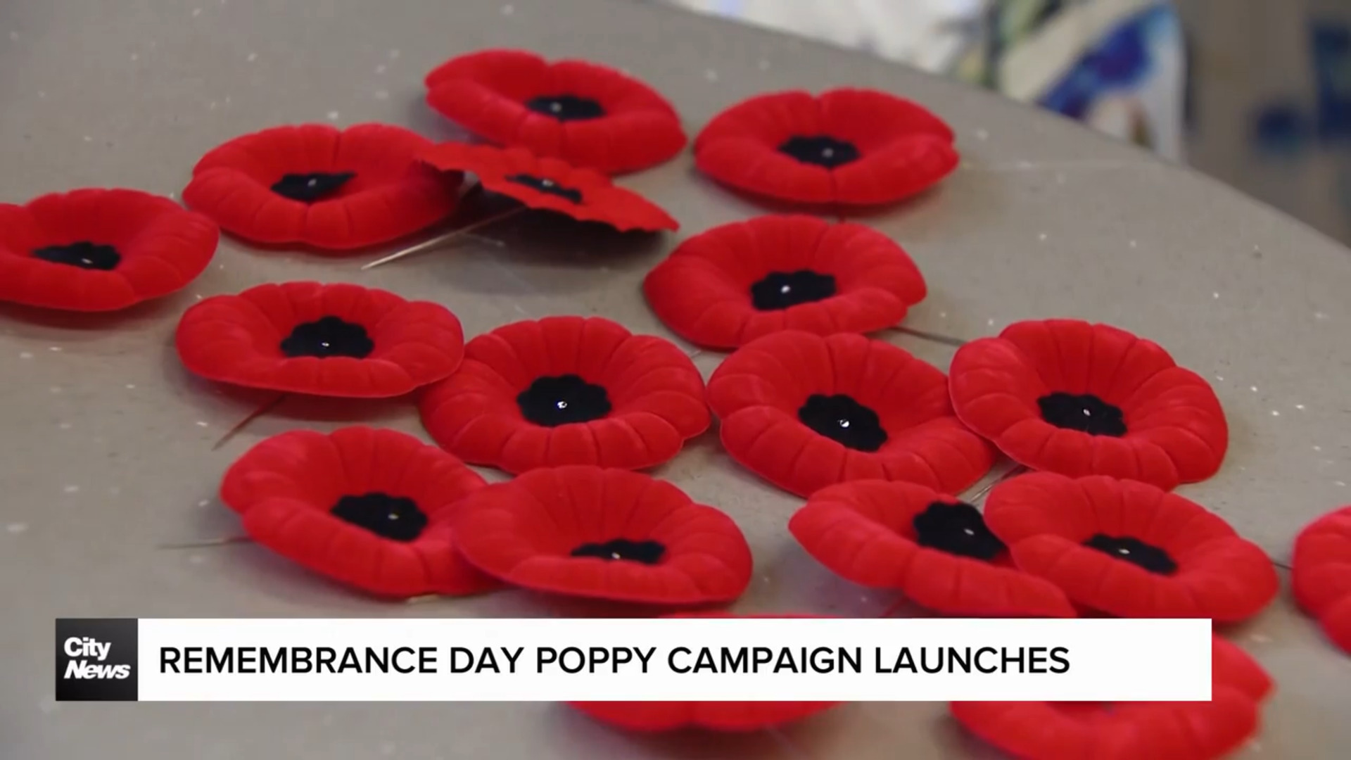 2025 Royal Canadian Legion Poppy Campaign launches