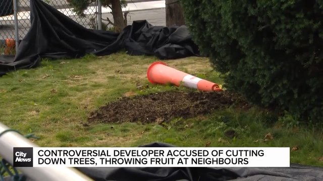 Modcity accused of throwing fruit at neighbours while cutting down more trees