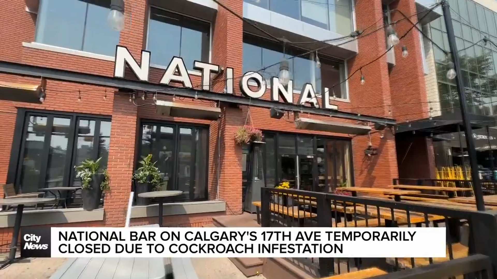 National bar on Calgary’s 17th Ave temporarily closed due to cockroach infestation