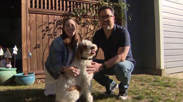 Coquitlam couple spreads awareness about ‘Living Donation Week’