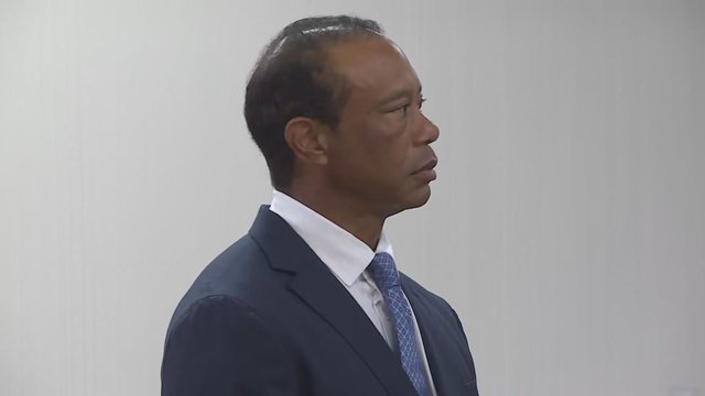 Tiger Woods has driver's license removed for 5 years over crash