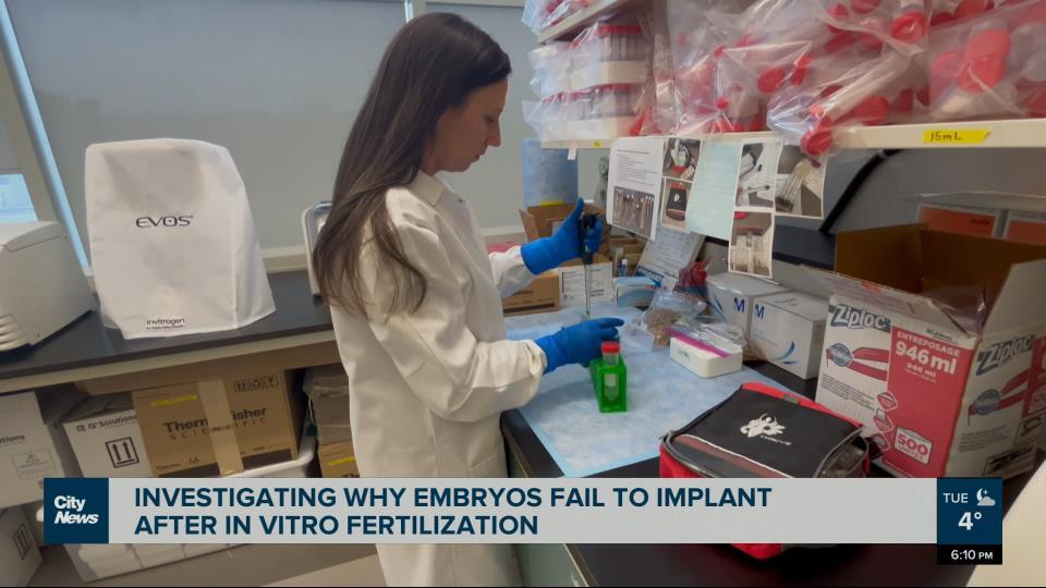 Biblical Mystery Solved Shems Wifes Fertility Explained - uwloe92
