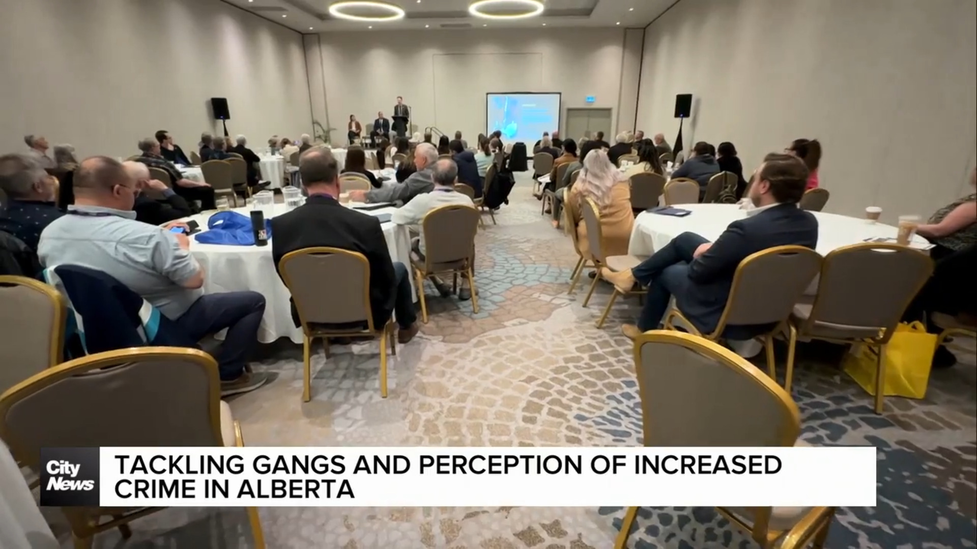 Tackling gangs and perception of increased crime in Alberta