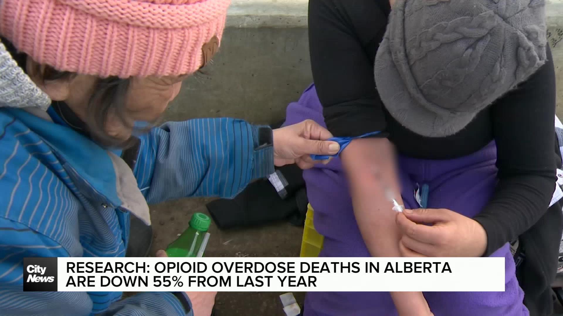 Research: Opioid overdose deaths in Alberta are down 55% from last year