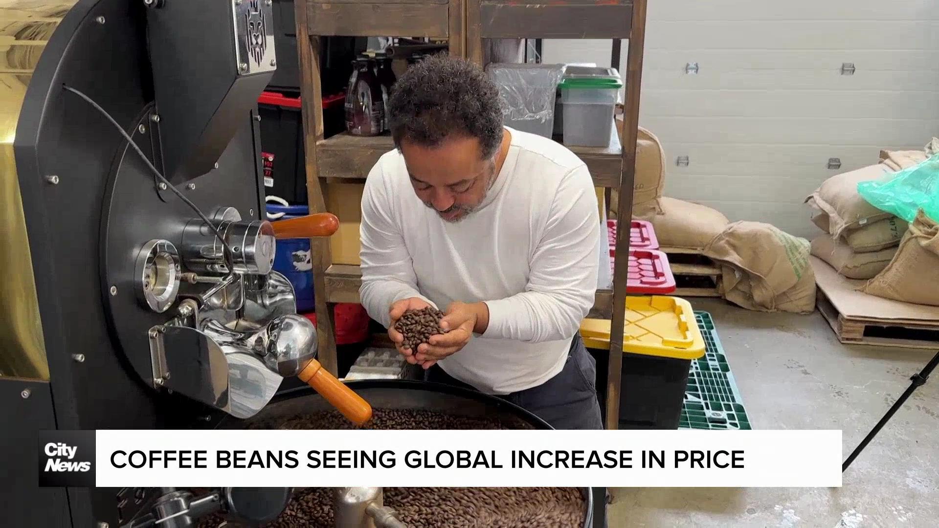 Coffee beans seeing global increase in price