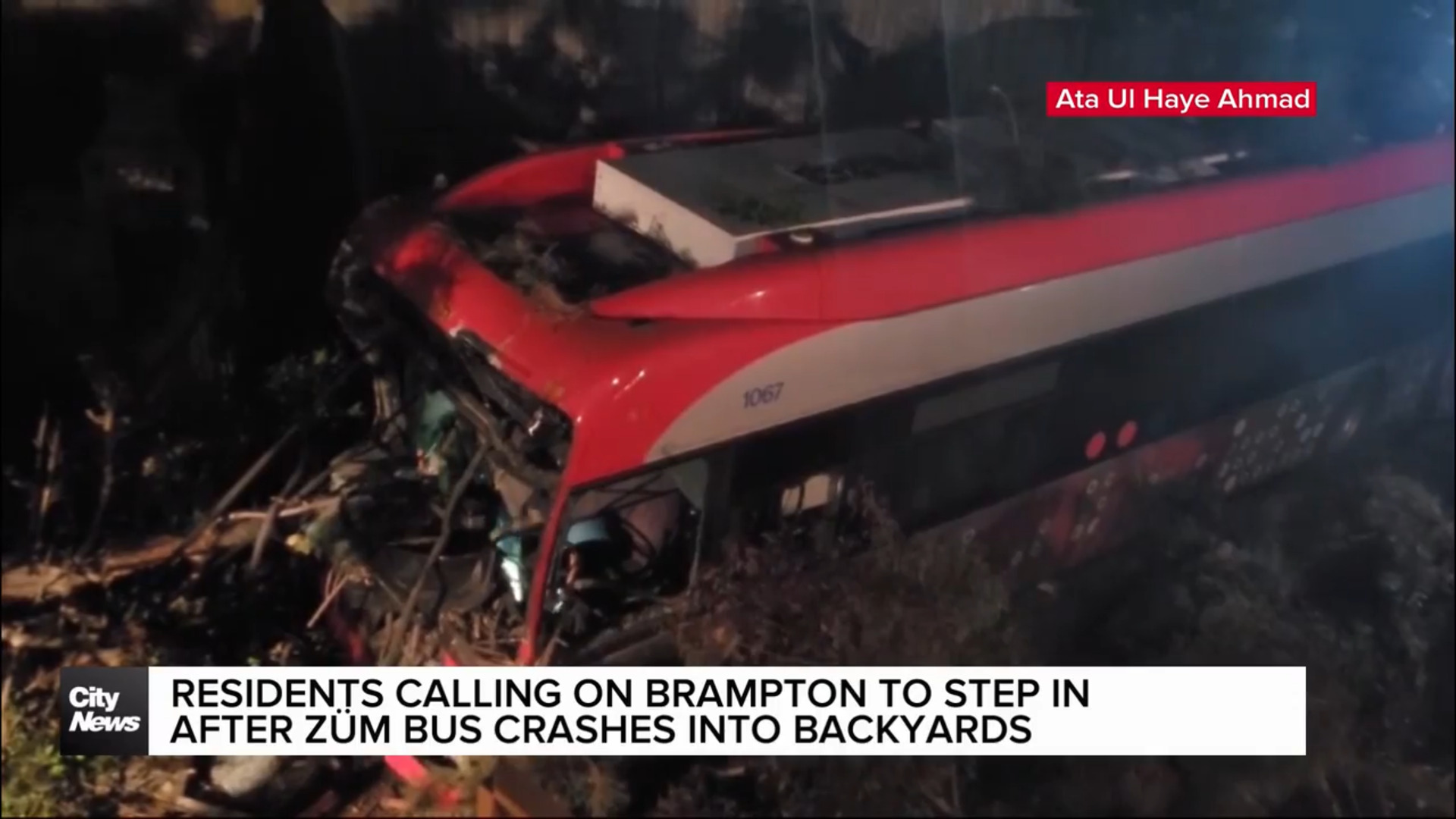 Driver facing charges after Brampton bus tears through residential backyards