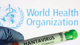 Three Canadians in isolation after hantavirus outbreak on cruise