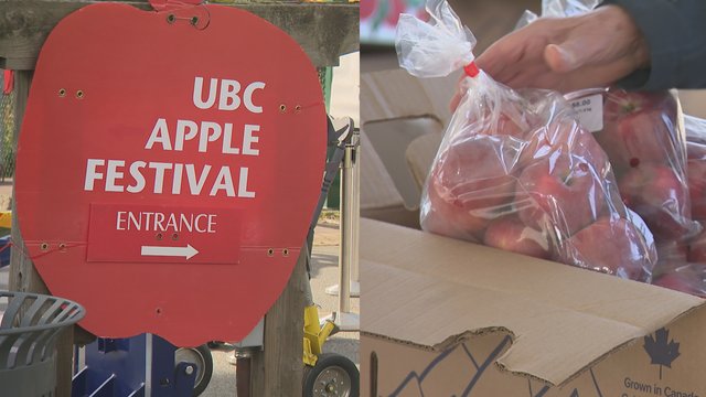 UBC's 35th annual Apple Festival held Sunday