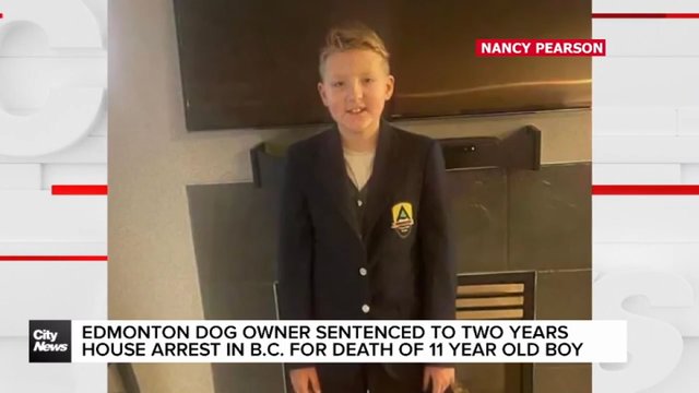 Edmonton woman whose dogs killed 11-year-old boy sentenced to 2 years of house arrest