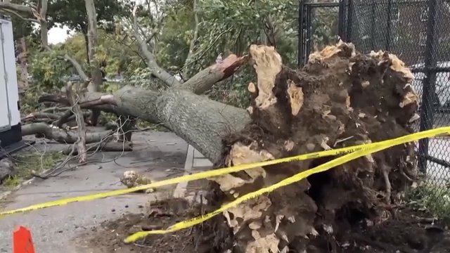 Powerful Nor'easter continues to soak the U.S. east coast