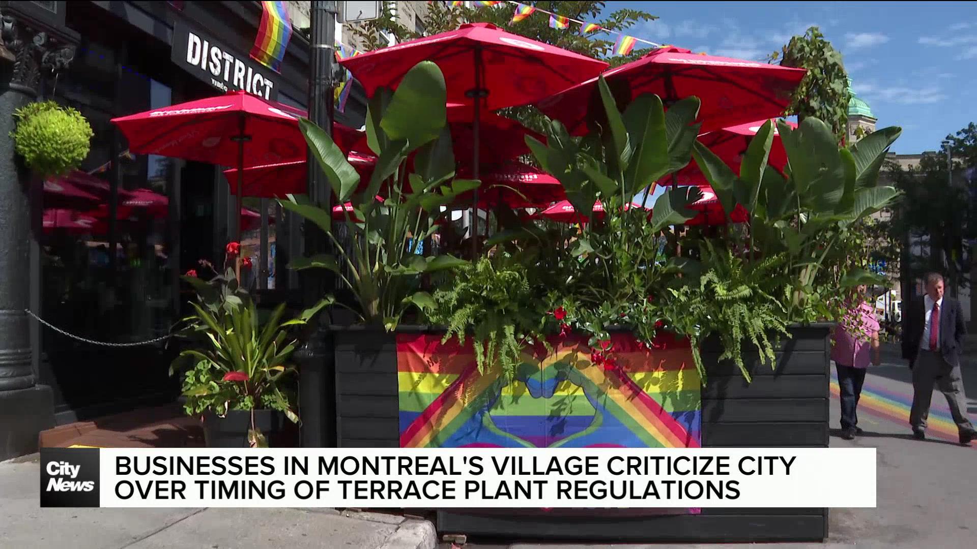 Montreal businesses criticize city over timing of terrace plant rules