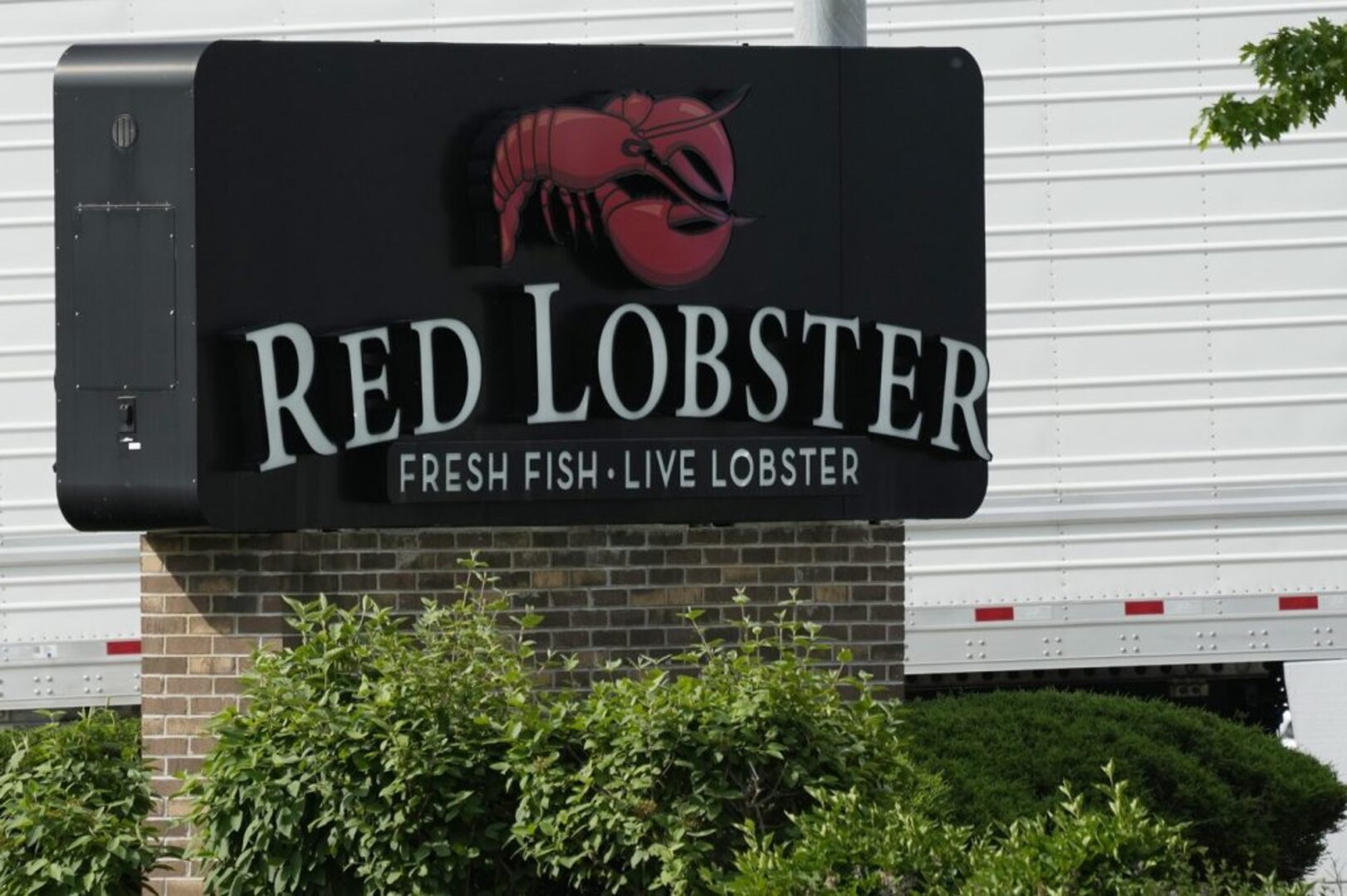 Business Report: Red Lobster is back... for now