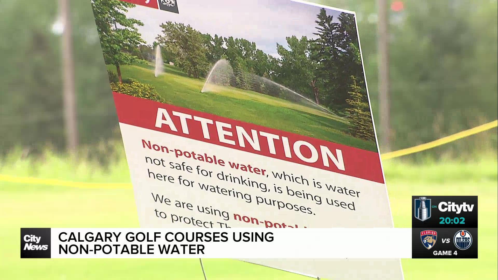 Some Calgary golf courses using non-potable water to promote conservation