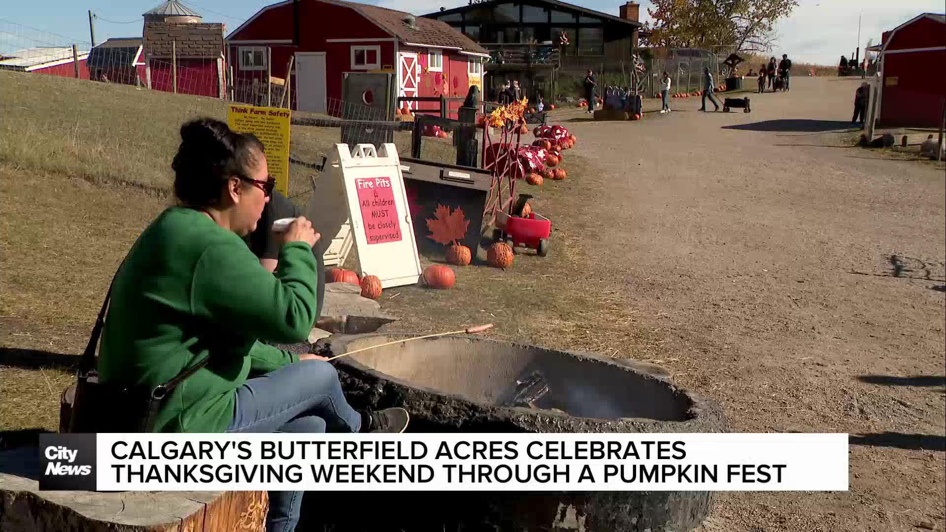 Calgary's Butterfield Acres celebrates Thanksgiving weekend through a special pumpkin fest